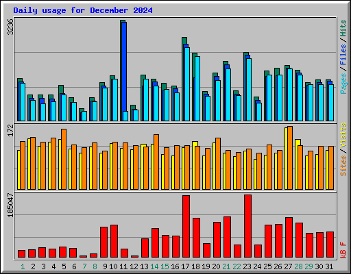 Daily usage for December 2024