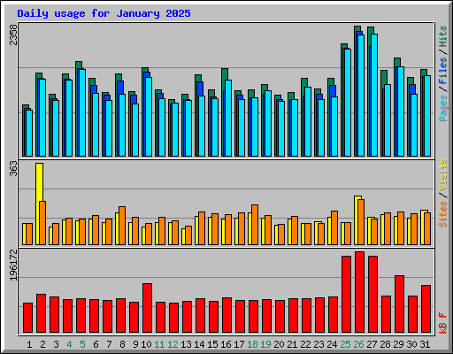 Daily usage for January 2025