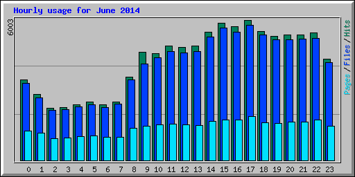 Hourly usage for June 2014