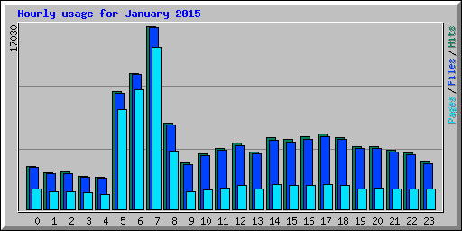 Hourly usage for January 2015