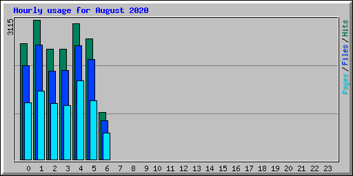 Hourly usage for August 2020