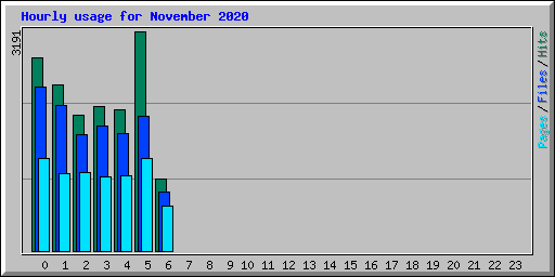 Hourly usage for November 2020