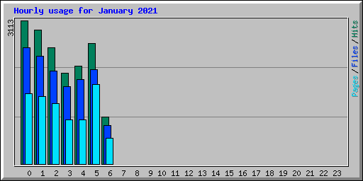 Hourly usage for January 2021