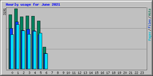 Hourly usage for June 2021