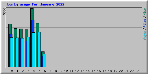 Hourly usage for January 2022