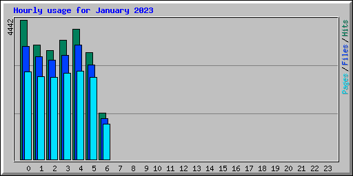 Hourly usage for January 2023