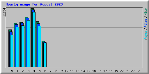 Hourly usage for August 2023