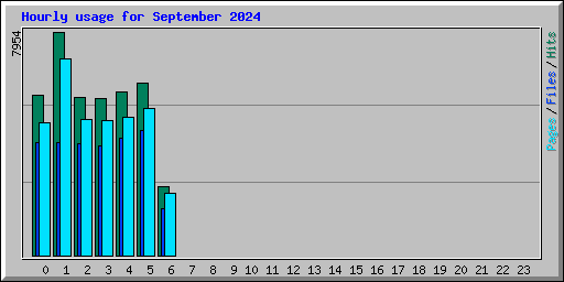 Hourly usage for September 2024