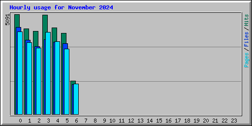 Hourly usage for November 2024