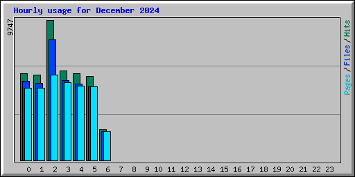 Hourly usage for December 2024