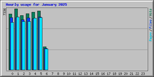 Hourly usage for January 2025