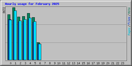 Hourly usage for February 2025