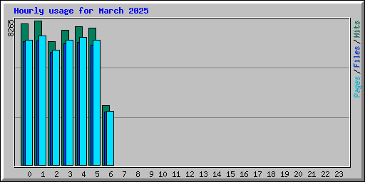 Hourly usage for March 2025