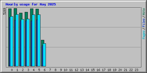 Hourly usage for May 2025