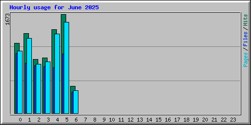 Hourly usage for June 2025