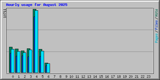 Hourly usage for August 2025