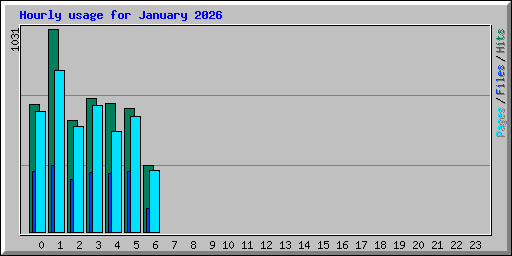 Hourly usage for January 2026