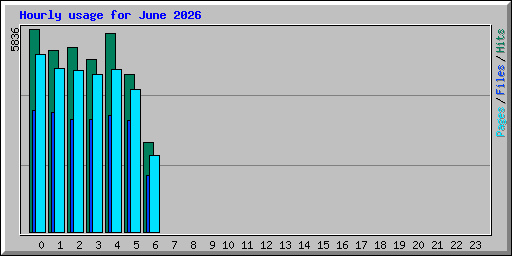 Hourly usage for June 2026