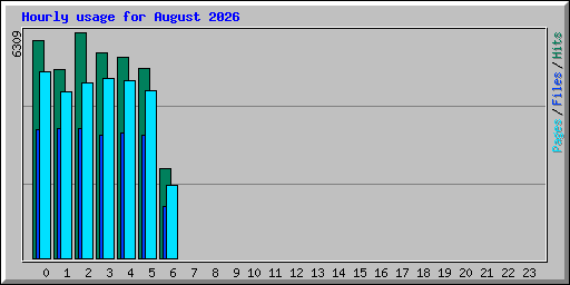 Hourly usage for August 2026